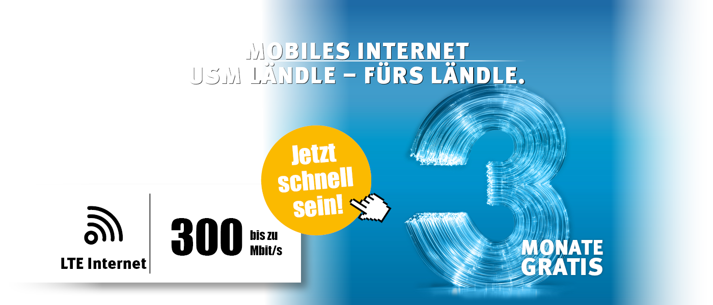 2505_LTE3 LTE-Internet